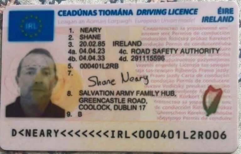 Irish driving licence