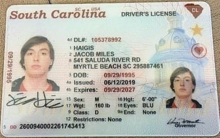 USA Driving licencing