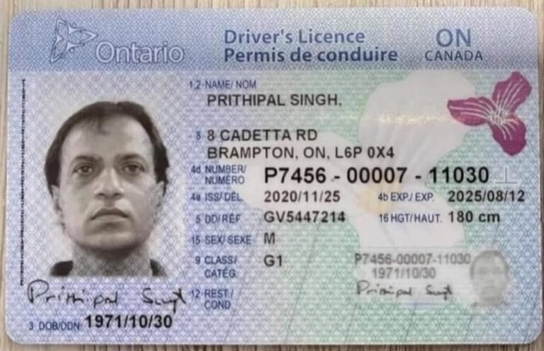Canadian driving license