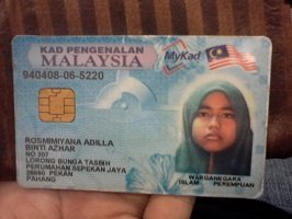 Malaysian identity cards