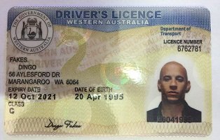 Australian driver’s license
