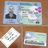 Canadian driver’s license