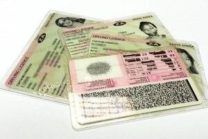 South Africa driver’s licenses
