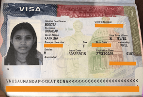 USA travel visa