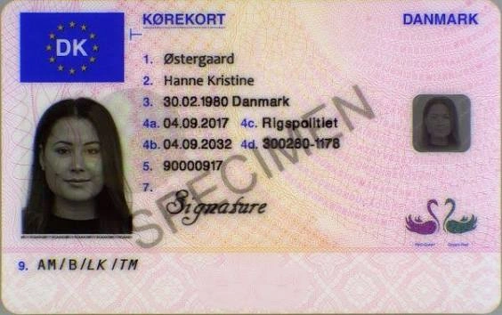 denmark-driving-license